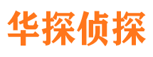 元江市调查公司